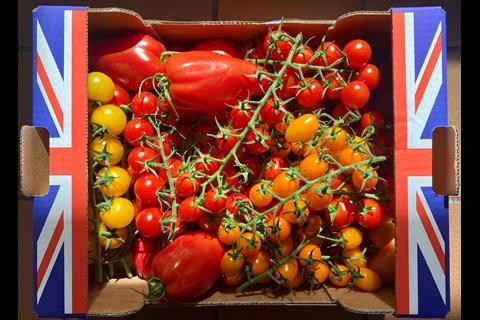 British tomatoes in box